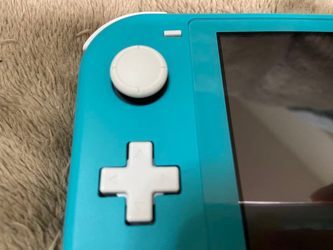 Nintendo Switch Lite ターコイズ 本体　ケース付き