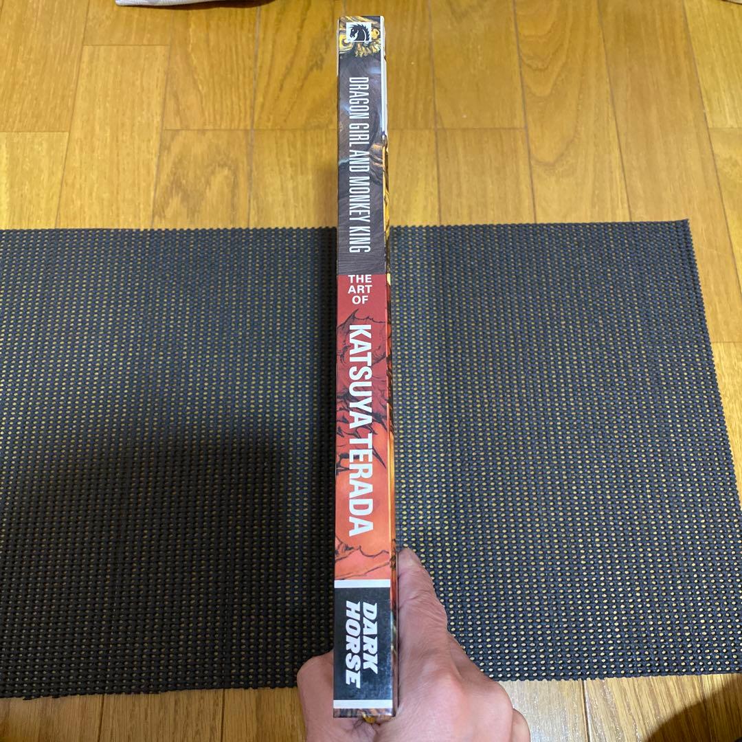 寺田克也　DRAGON GIRL AND MONKEY KING　イラスト集