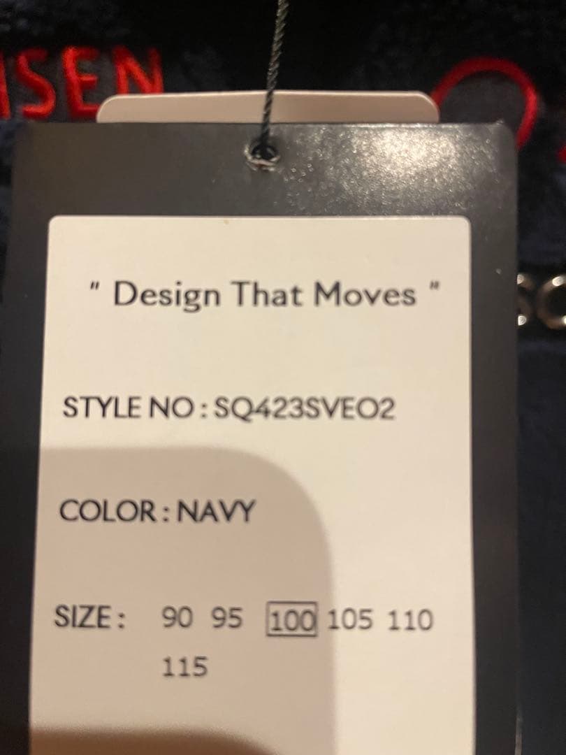 デサント　コリア　フリースベスト　日本未発売　韓国限定　スイススキーチーム