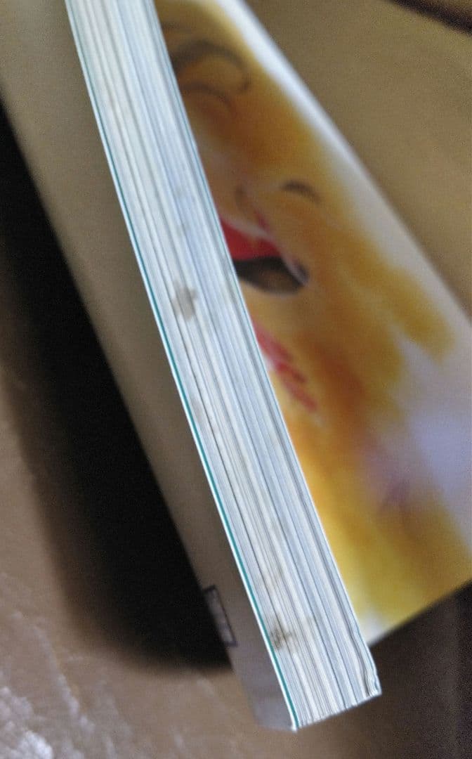 ◎超時空要塞マクロス/原画集