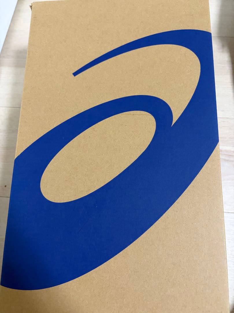 ASICS GLIDE NOVA FF 2 28cm【インソール付き】