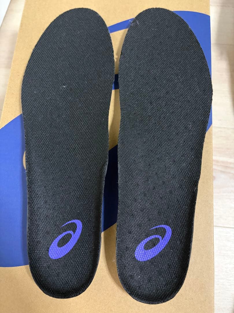 ASICS GLIDE NOVA FF 2 28cm【インソール付き】