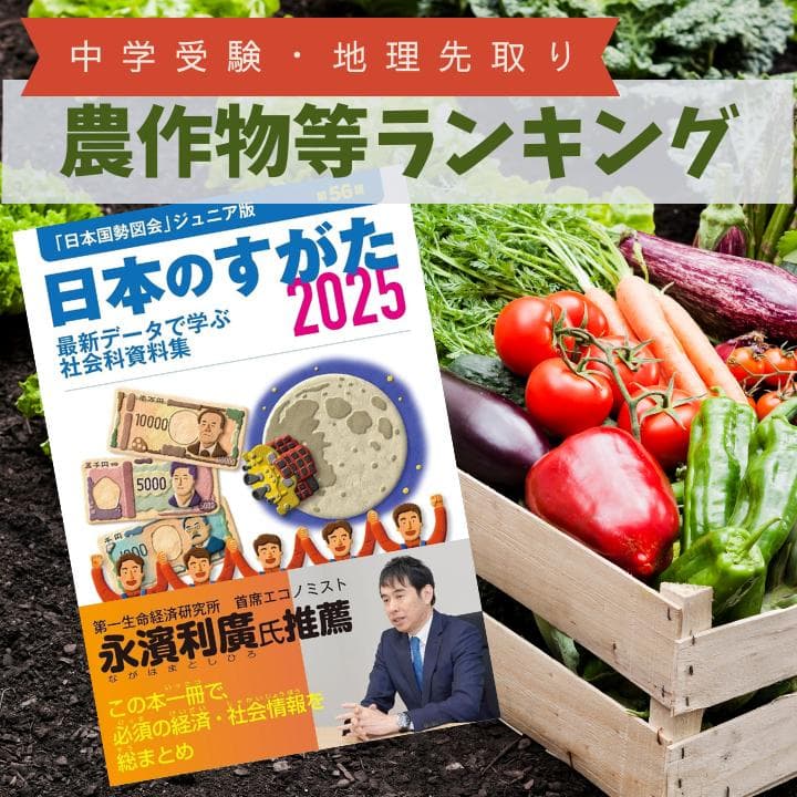 ねこ様 リクエスト 6点 まとめ商品