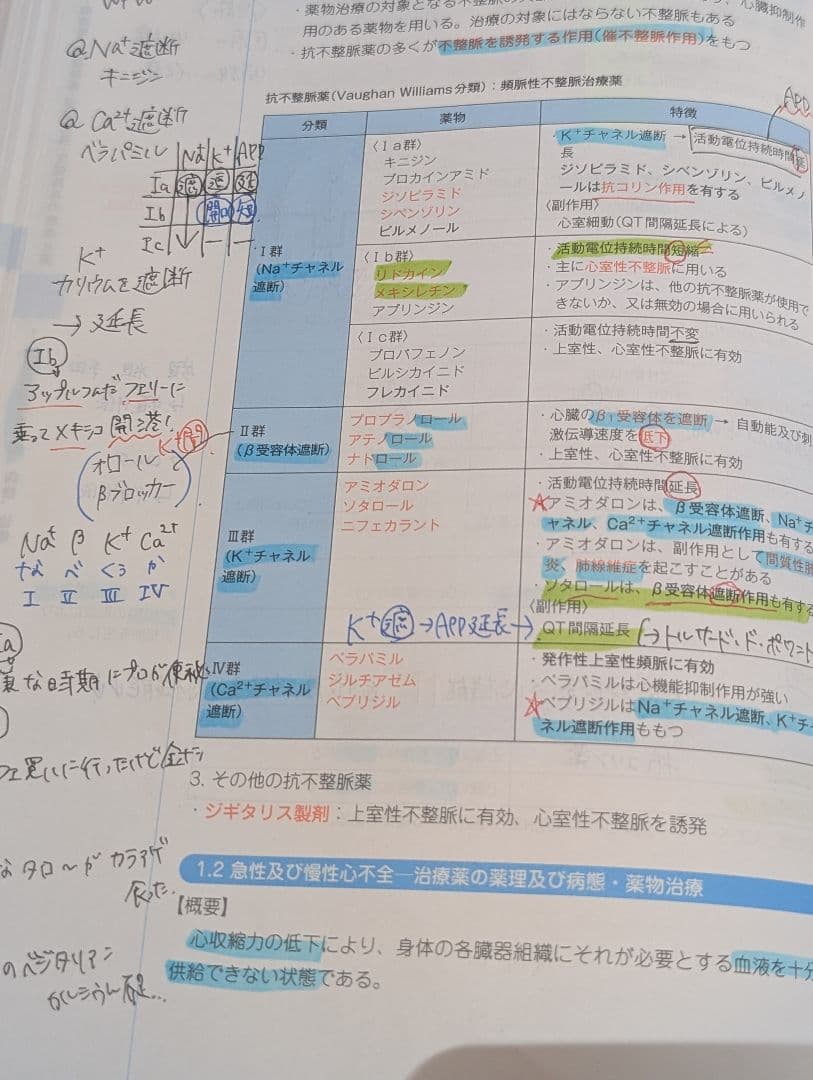 コアカリ重点ポイント集 　薬学部　改訂第9版　ゾーン1、ゾーン2　書き込みあり