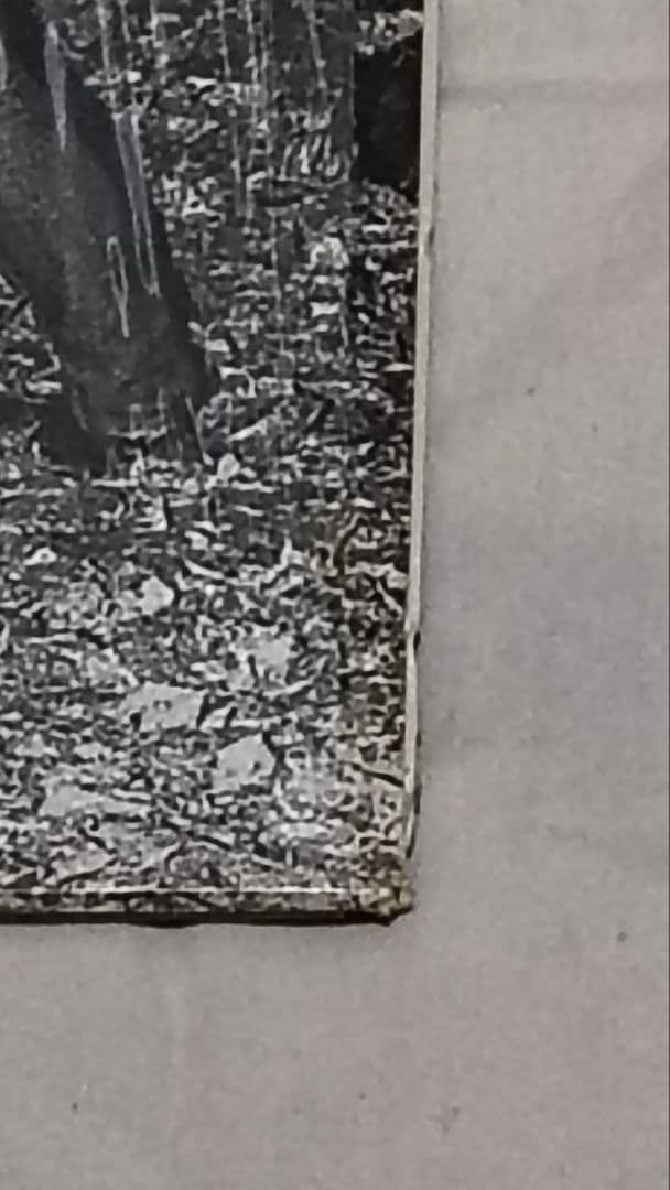 毛皮のマリーズ　アナログ　レコード　3枚セット