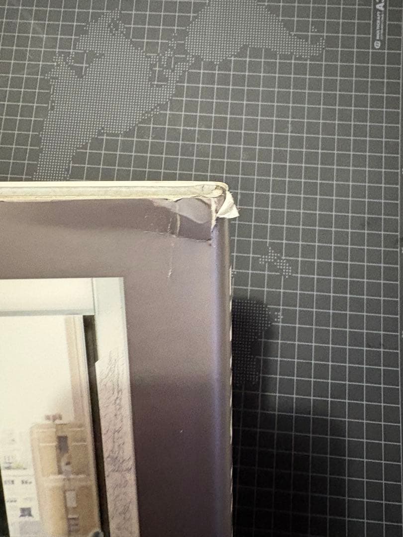 洋書 LIVING IN STYLE NEW YORK teNeues