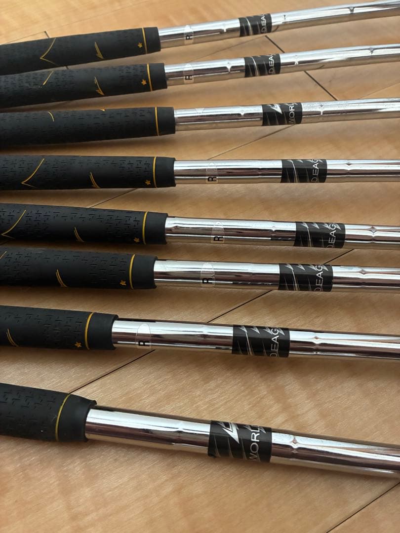 WORLD EAGLE アイアンセット 8本セット スタンドクラブケース付