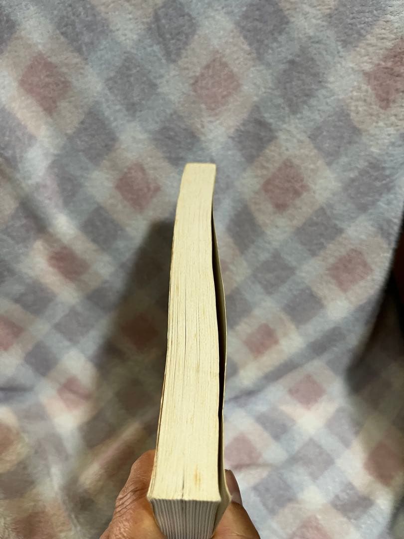 ロートレック画集 Toulouse-Lautrec 1990 美術書