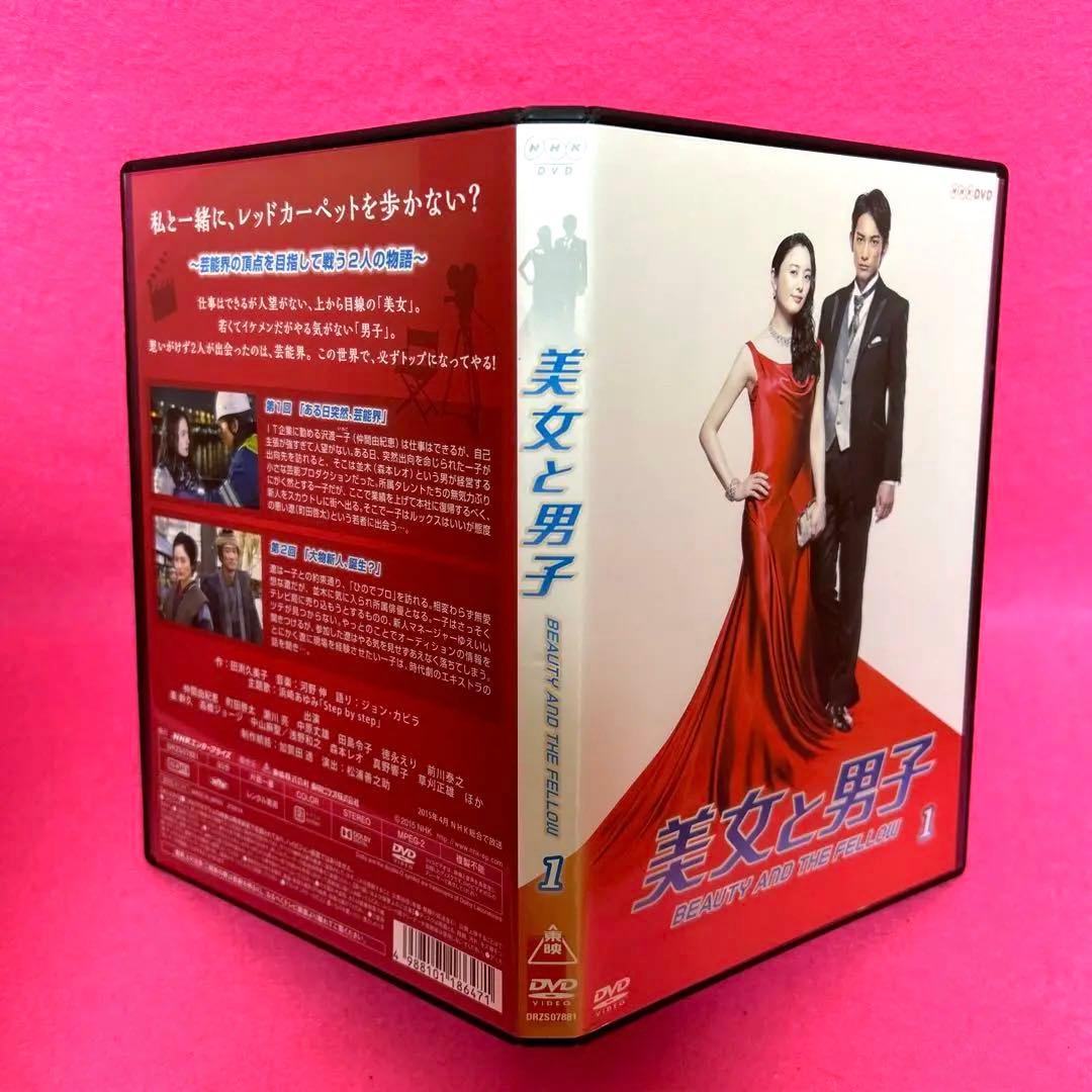 美女と男子 DVD 全10巻 全巻セット レンタル 仲間由紀恵 町田啓太