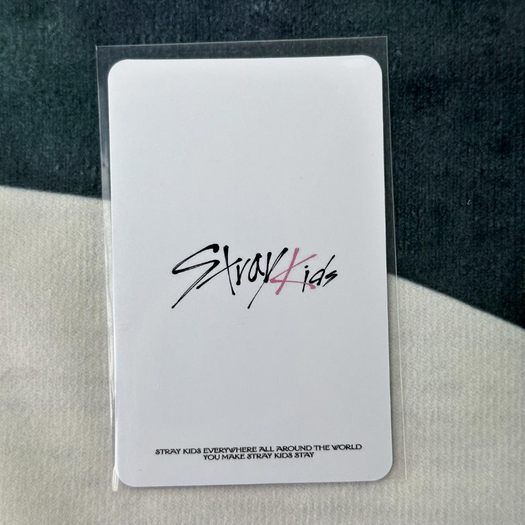 Stray Kids 歌謡大祭典 MBC スキズ チャンビントレカ