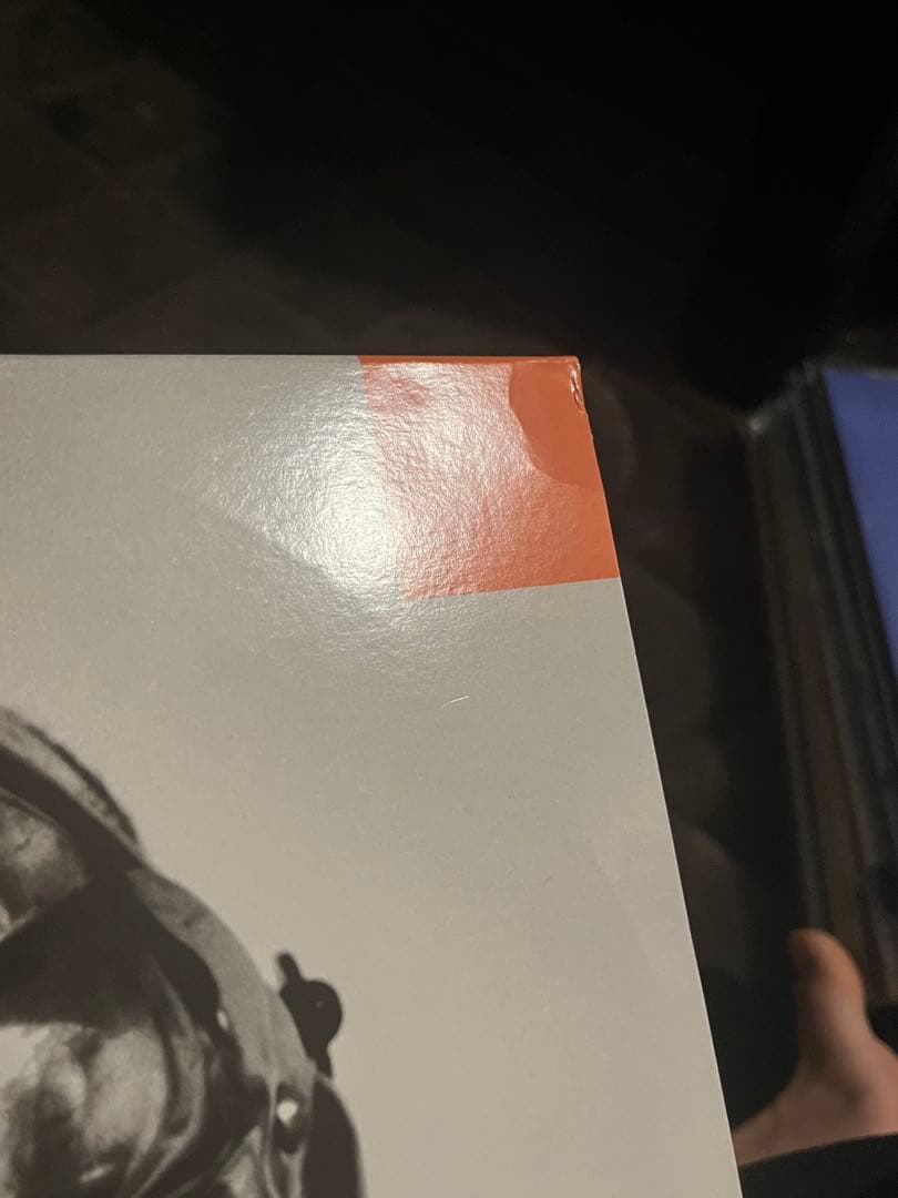 MF Doom Madvillain Madvillainy LPレコード