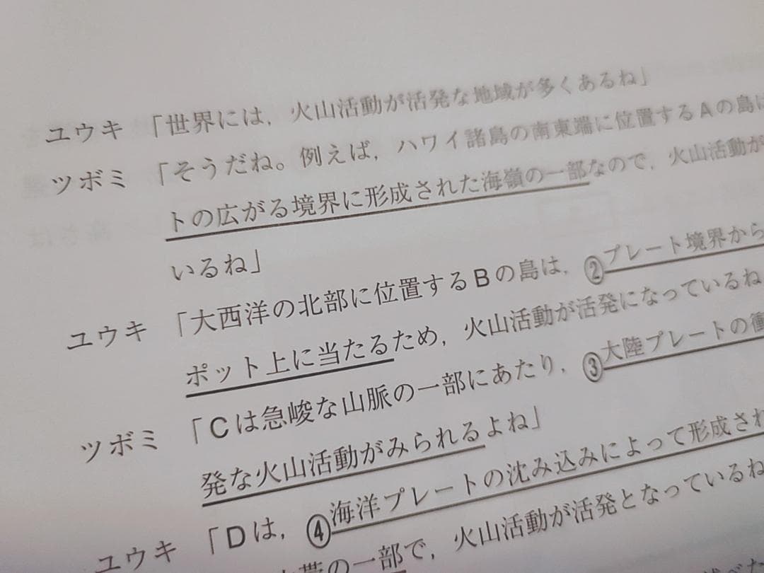 駿台の岡田先生による冬の共通テスト地理B PLUSフルセット　鉄緑会　河合塾