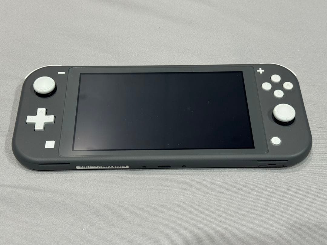 Nintendo Switch Lite グレー 本体美品　ケース＆ソフト付き