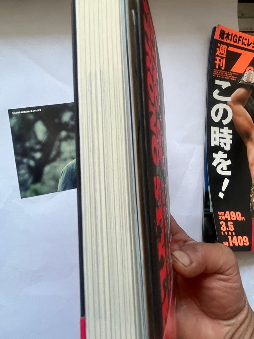 中邑真輔選手 直筆サイン入り自伝本、プロ格ヒーローフィギュア、おまけつき