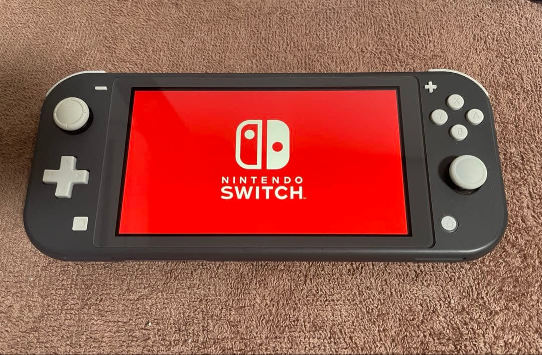 Nintendo Switch Lite グレー 本体 ケース&カバー付き