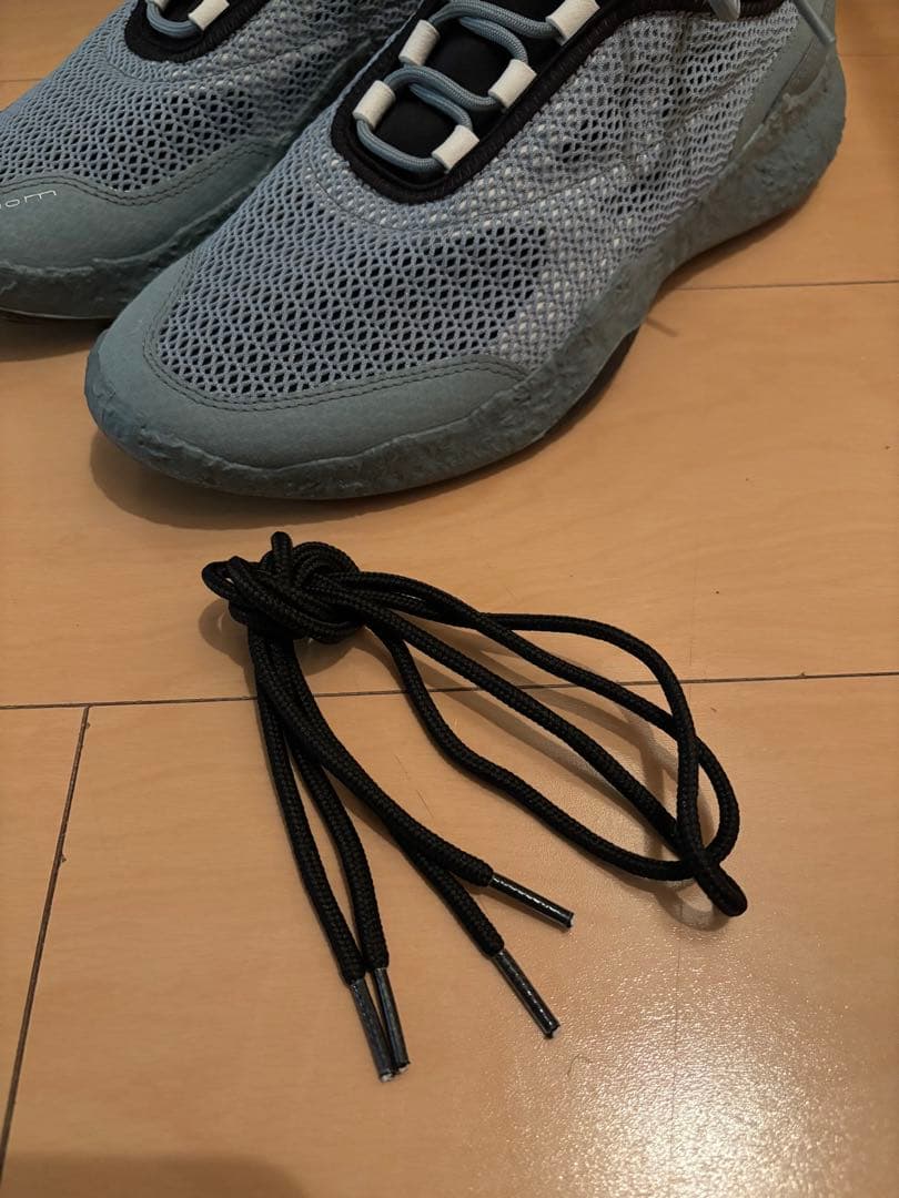 ECCO BIOM H5 ゴルフシューズ EU41 25.5cm、26cm