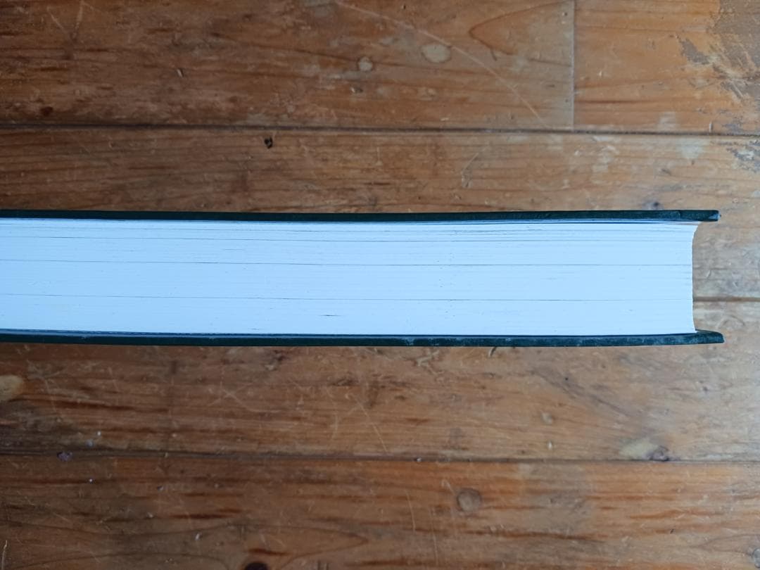 【希少品】Gait Analysis　歩行分析:Jacqelin Perry著