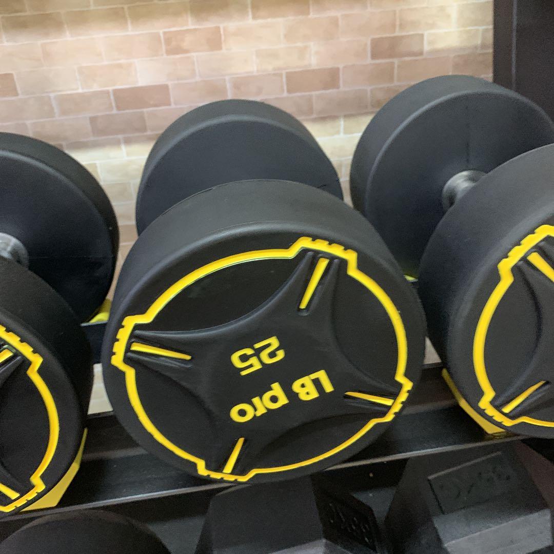 TPUダンベル  35kg