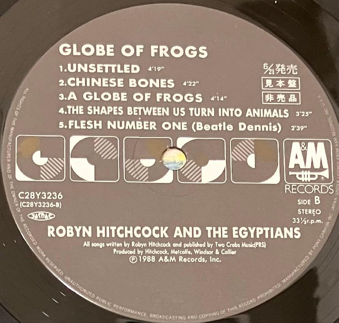 洋楽 Robyn Hitchcock And The Egyptians Globe