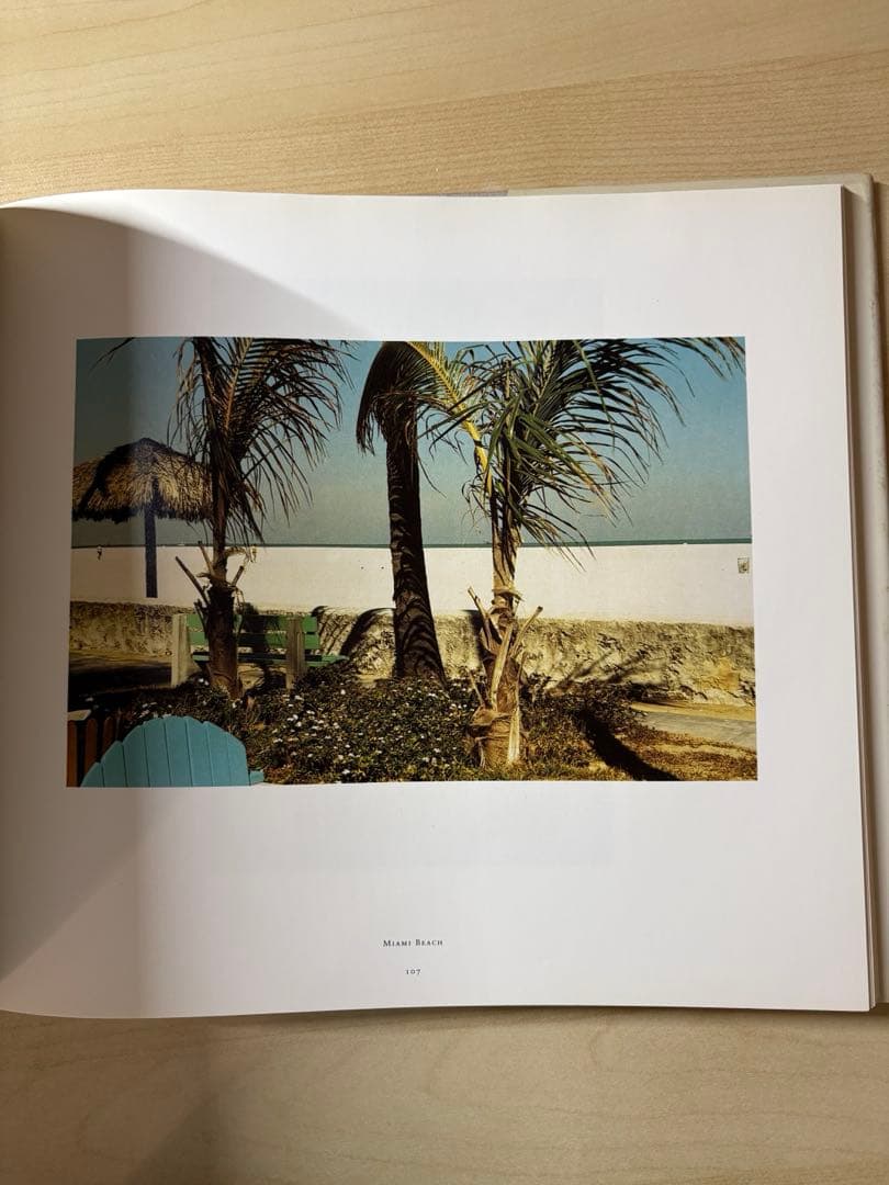 アート・デザイン・音楽 William Eggleston The Democratic Forest