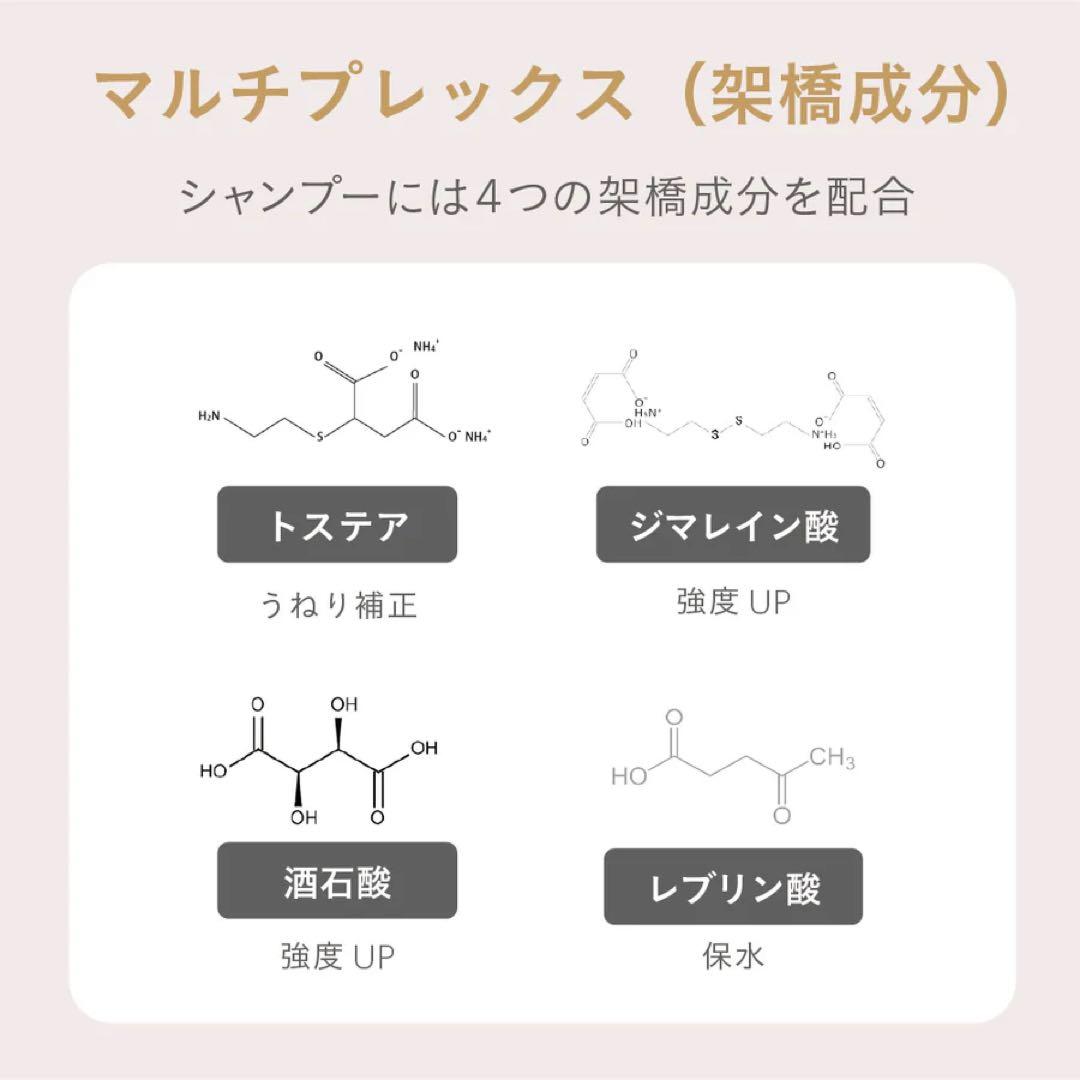 【即日発送】ESTABLISHED コアプレックスシャンプートリートメントセット