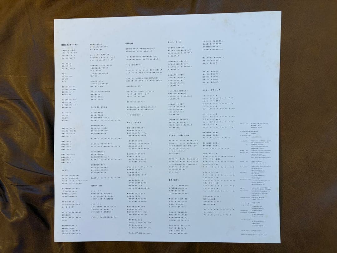 【希少LP】ROSSO / BIRD アナログ盤 2枚組 レコード（チバユウスケ