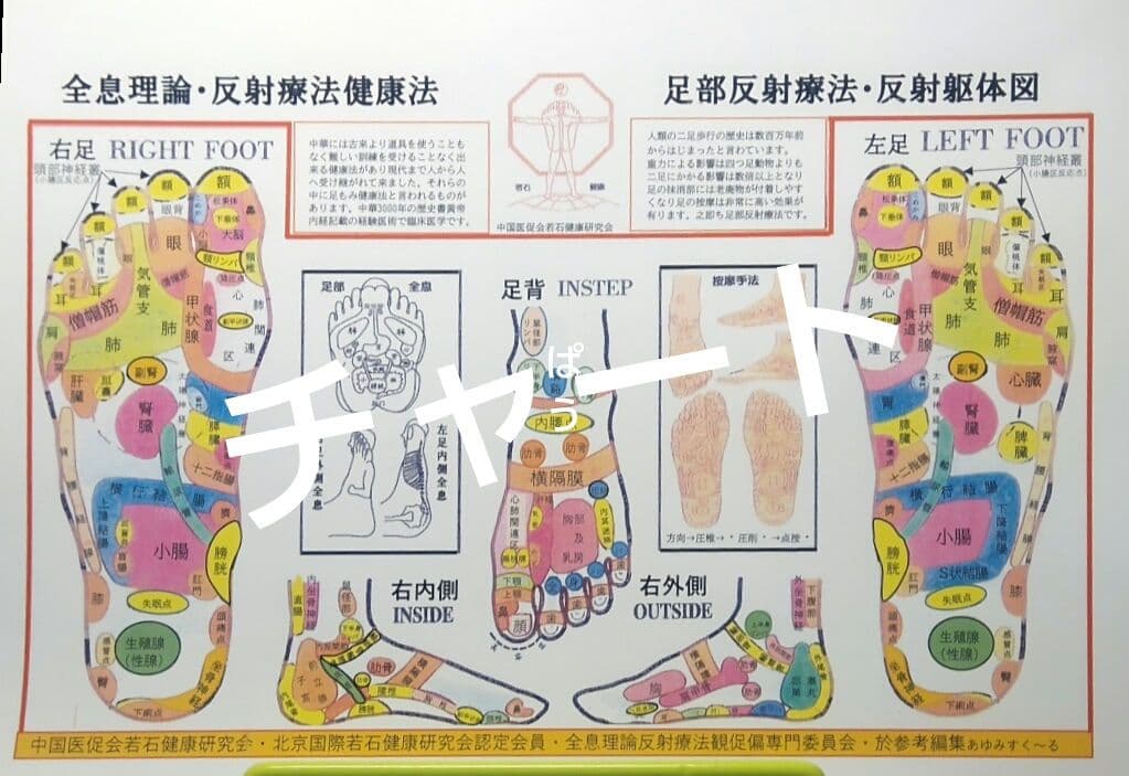 A5：足つぼ 学ぶ（DVD足部反射療法2級上編）+テキスト+チャートset