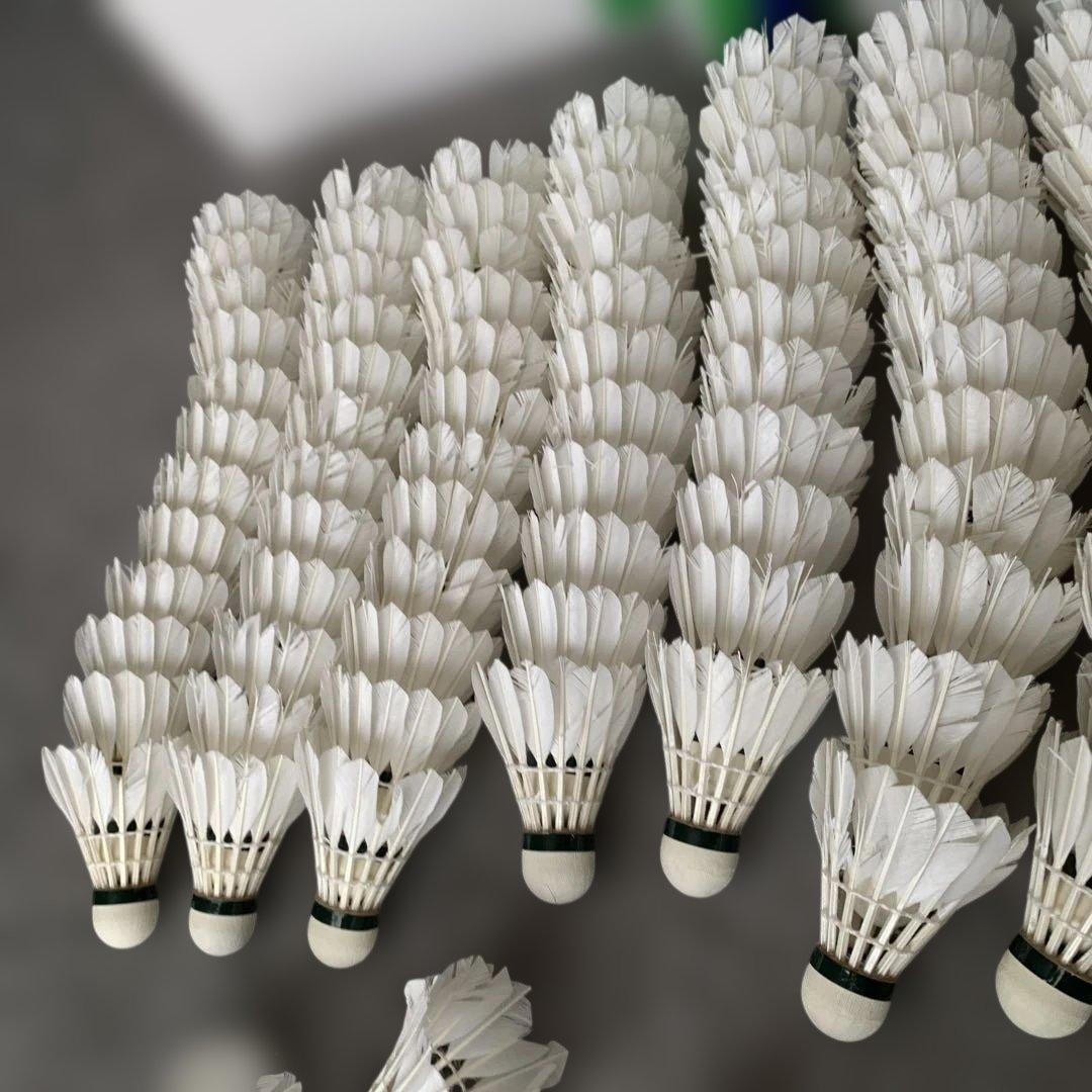 バドミントンシャトルニューオフィシャル中古