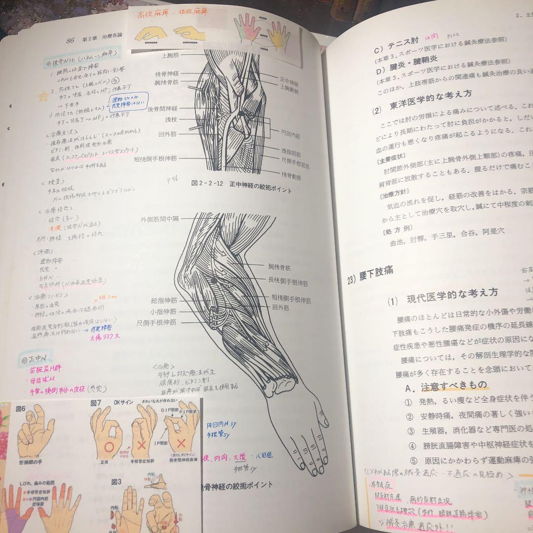 鍼灸 教科書