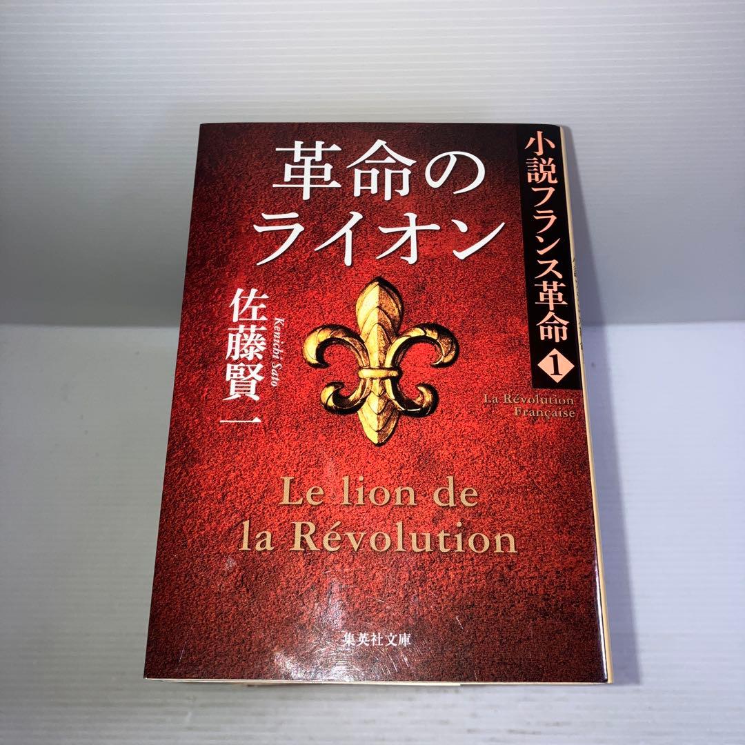 小説フランス革命 文庫版 全巻