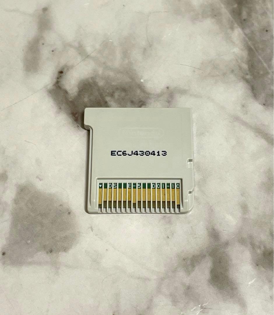 Nintendoトモダチコレクション 新生活 3DS