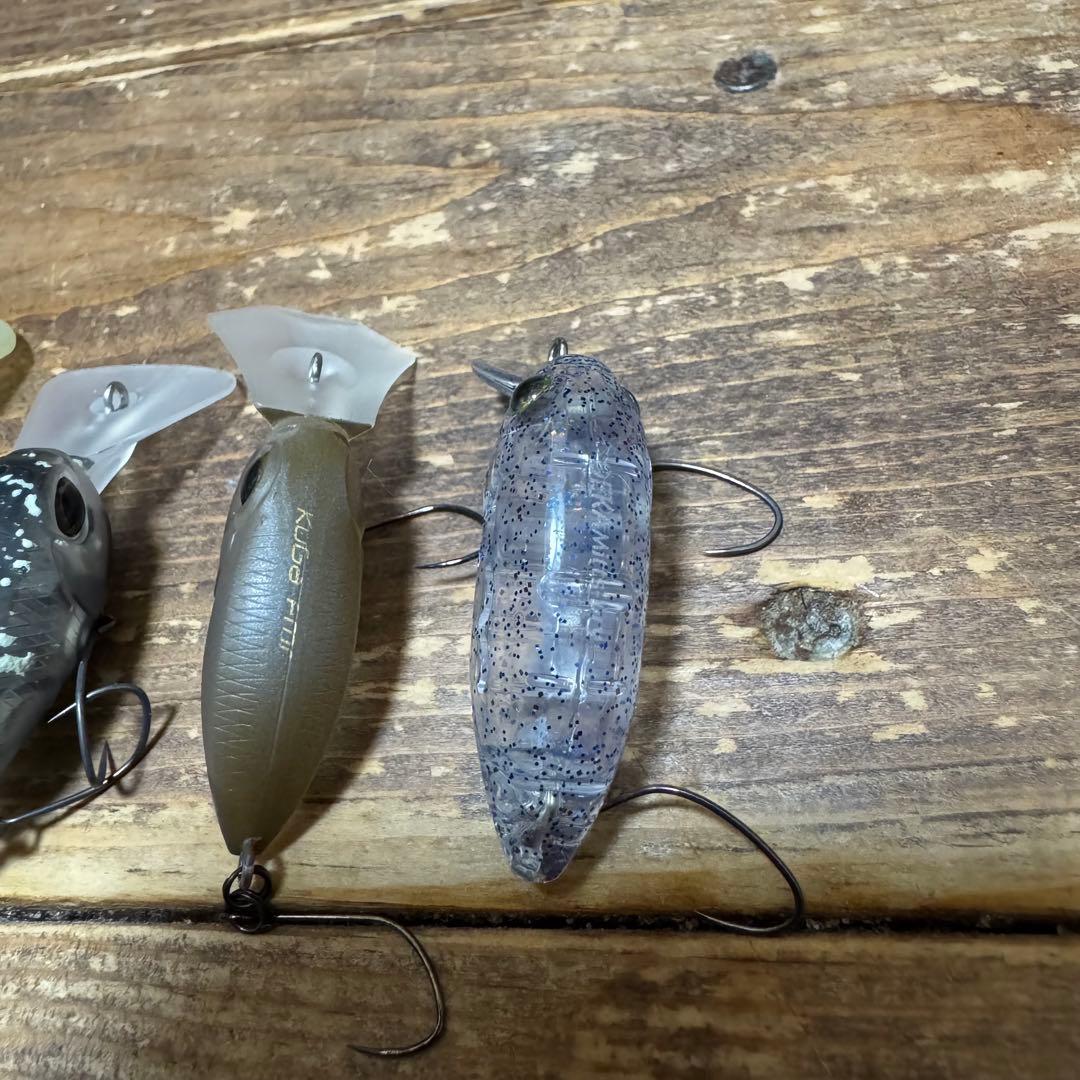 まとめ売りペピーノ フラパニ モカロン デカミッツ クーガナノ エリアトラウト