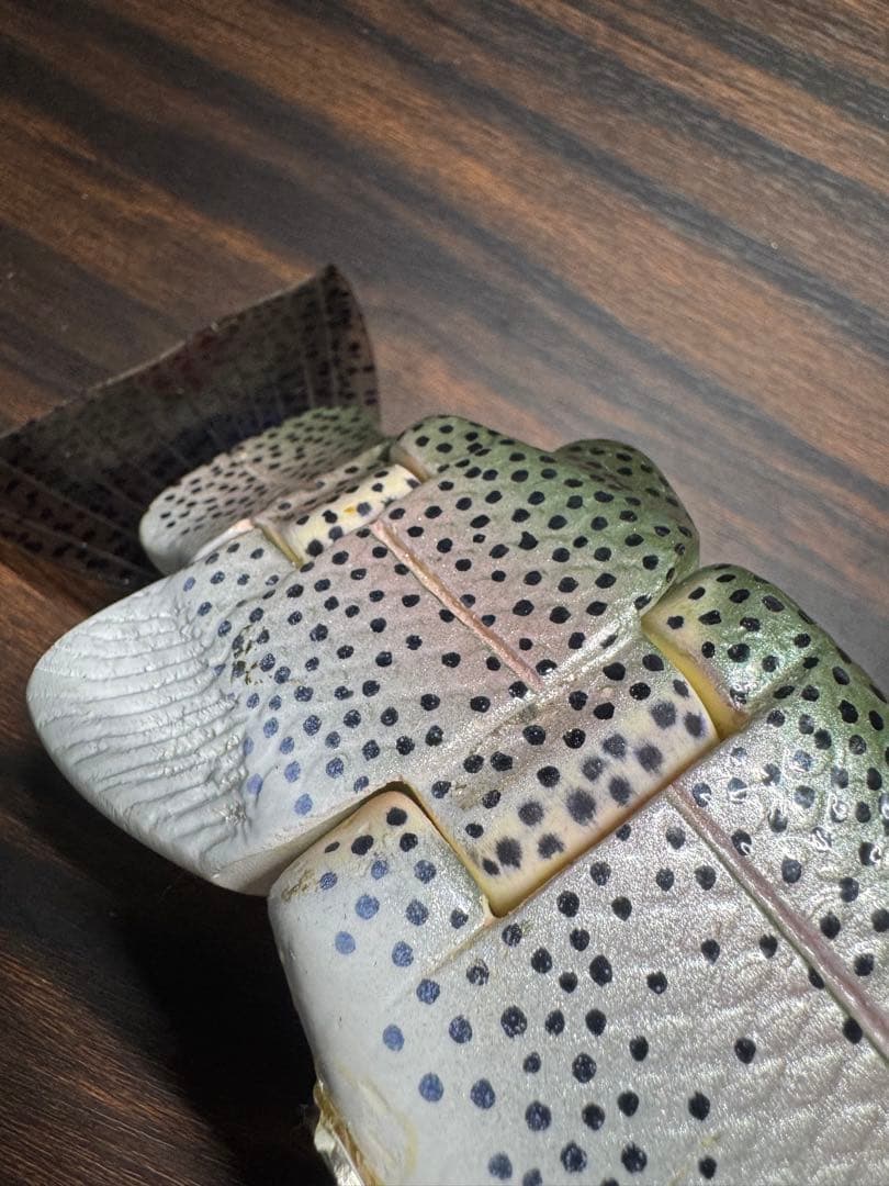 Nate Bait 特注レインボートラウトベイト 12インチ