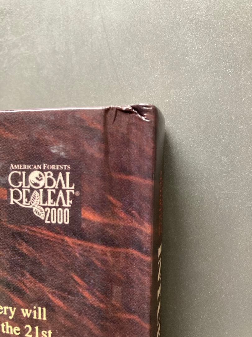 洋書 Intuitive Imagery