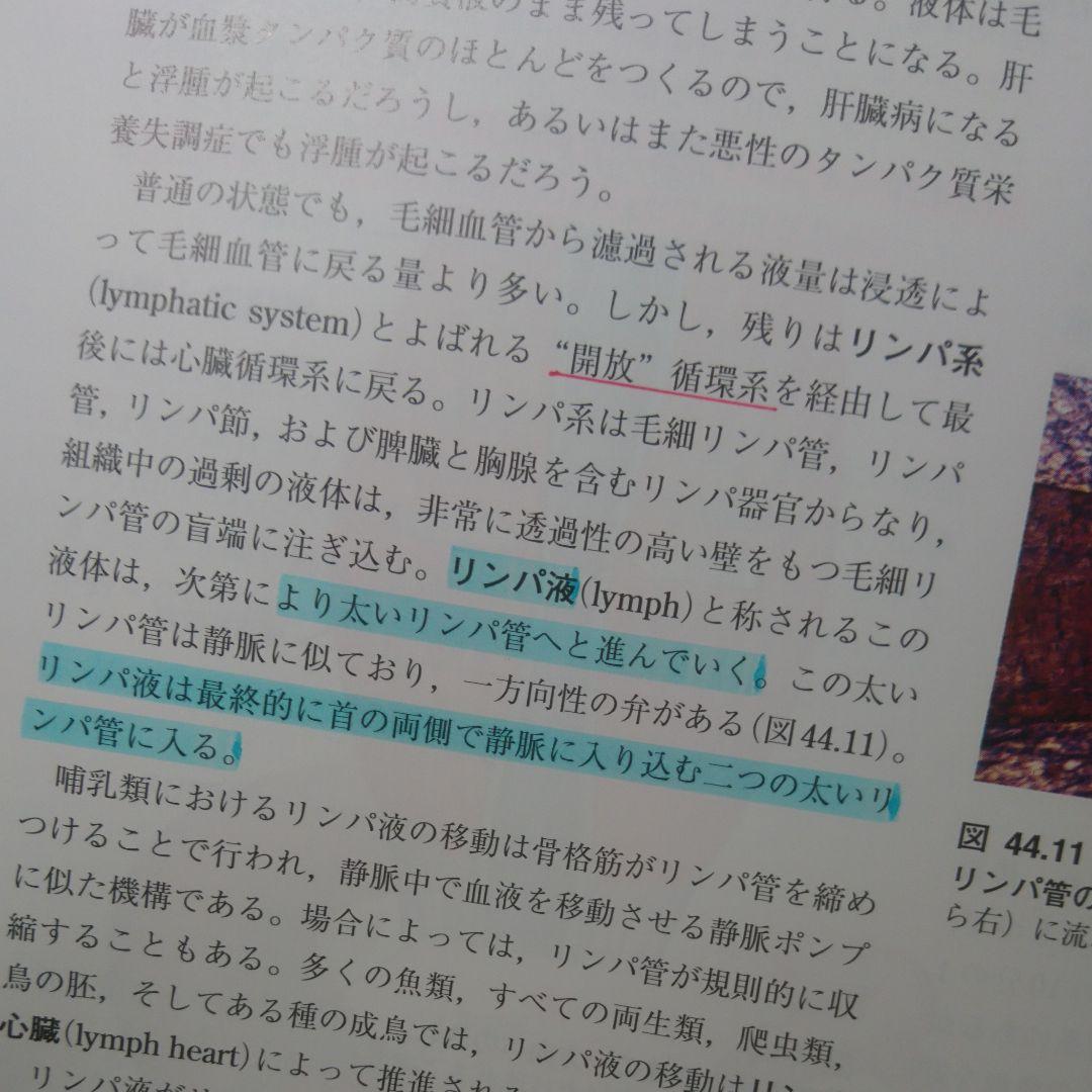 レーヴン/ジョンソン生物学 上 下