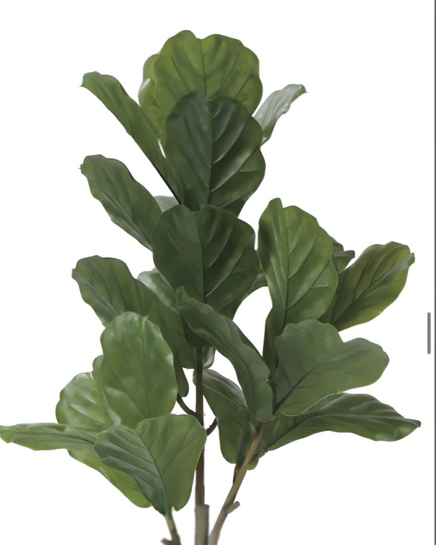 光触媒　人工観葉植物　ウォールグリーン　フェイクグリーン　カシワバゴム1.25