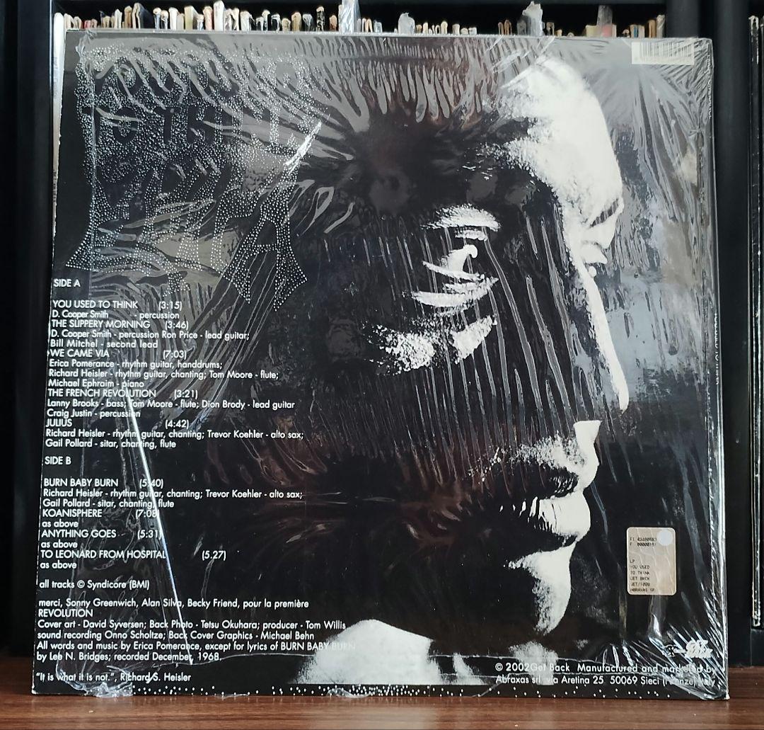 エリカパフォーマンス you used to thinkLPアナログレコード