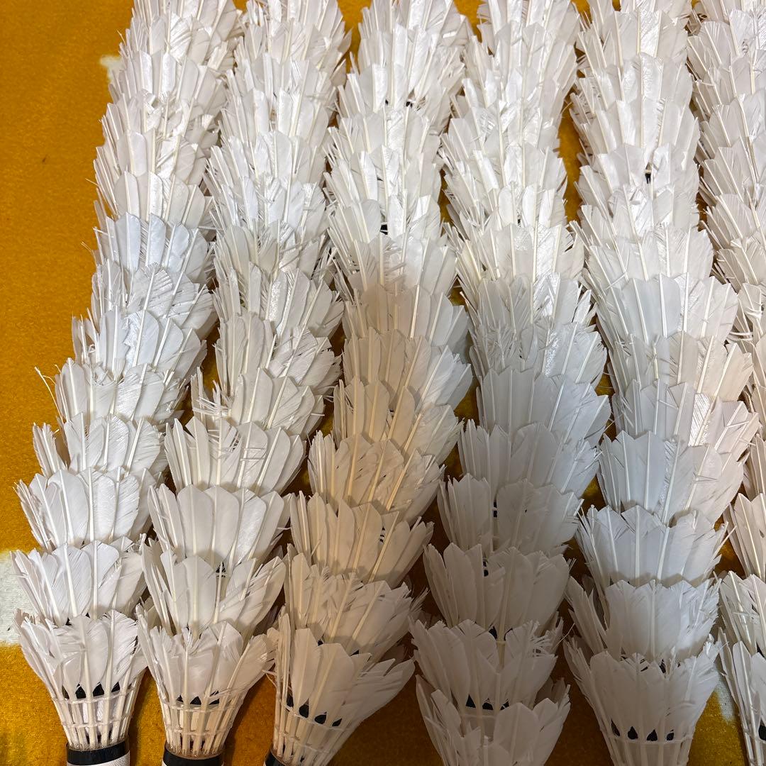 バドミントン　シャトル ノック用　280球セット　ヨネックス　ゴーセン