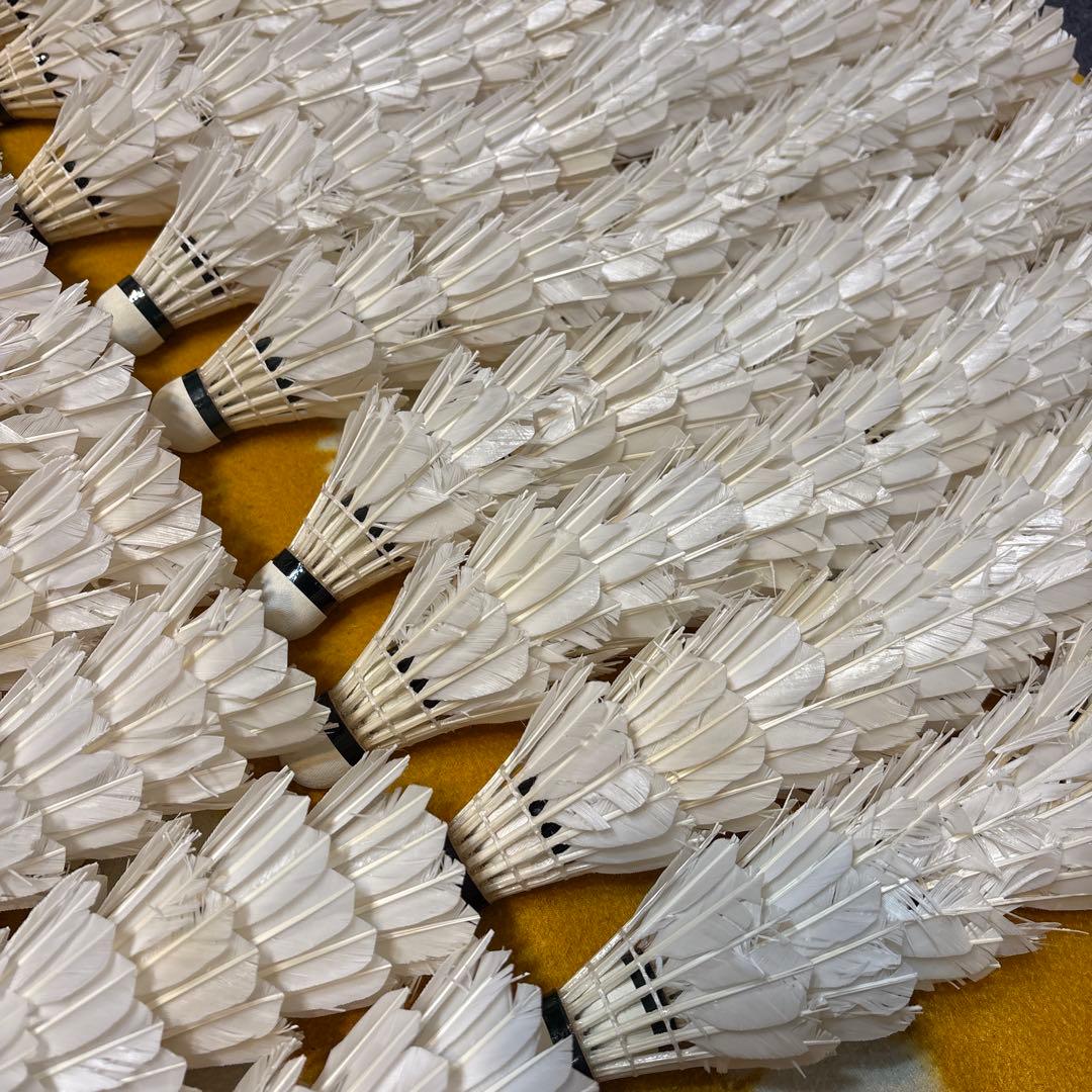 バドミントン　シャトル ノック用　280球セット　ヨネックス　ゴーセン