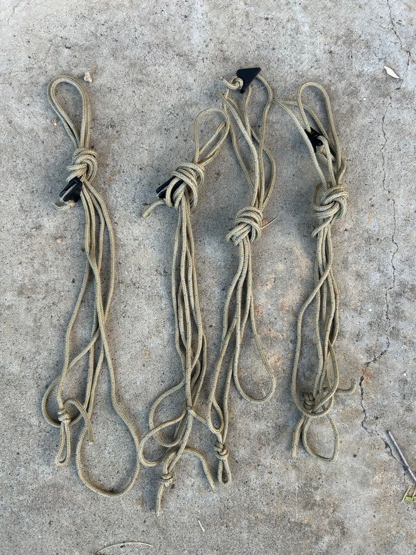 ワンティグリス　ブラウン メッシュ付き