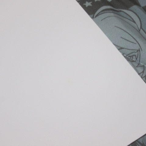 ONE PIECE ビブルの秘宝 当選品 名シーン複製原稿 空島 宴 ワンピース