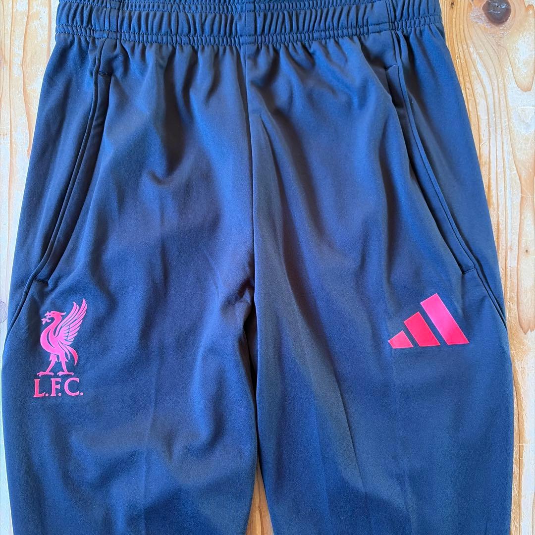 リバプール　トレーニングジャケット　パンツ　M