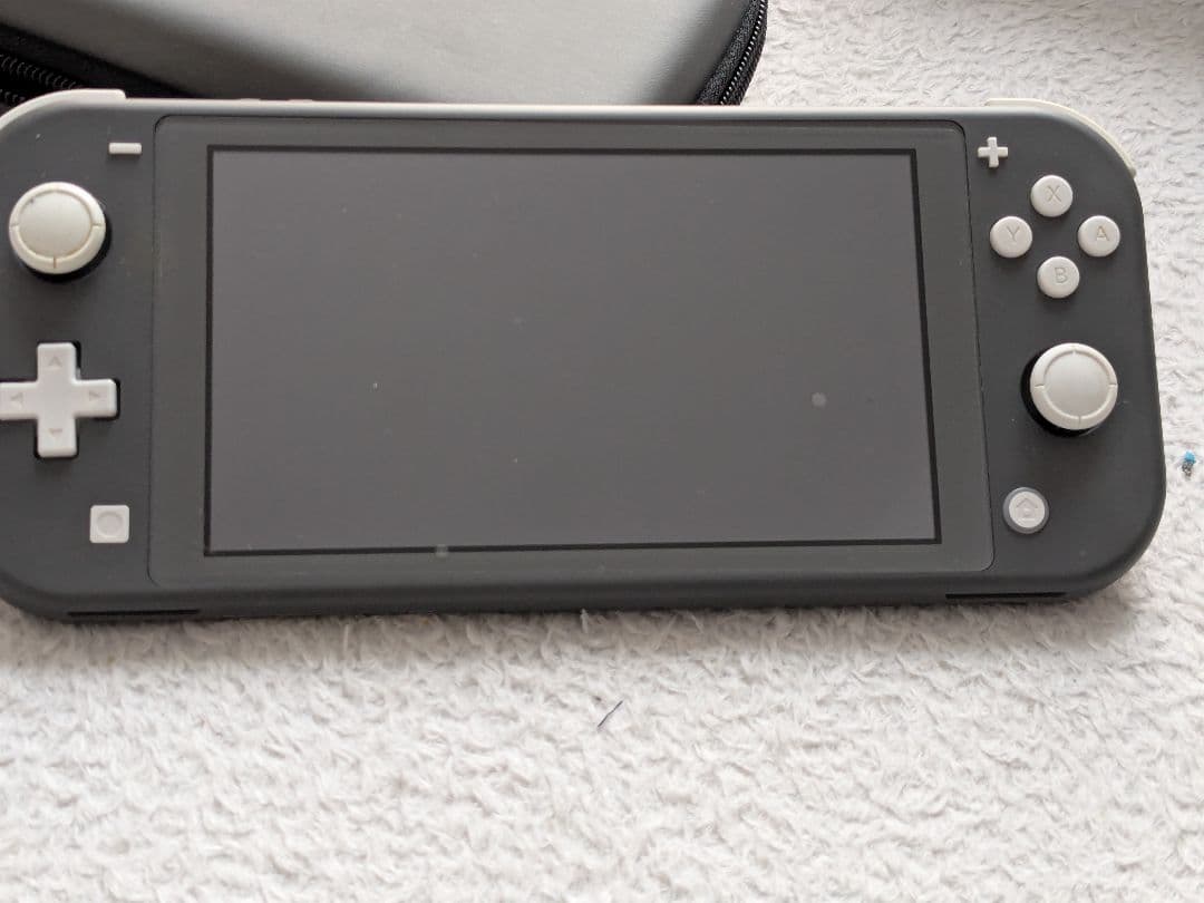 Nintendo Switch Lite ブラック スイッチライト 動作確認済