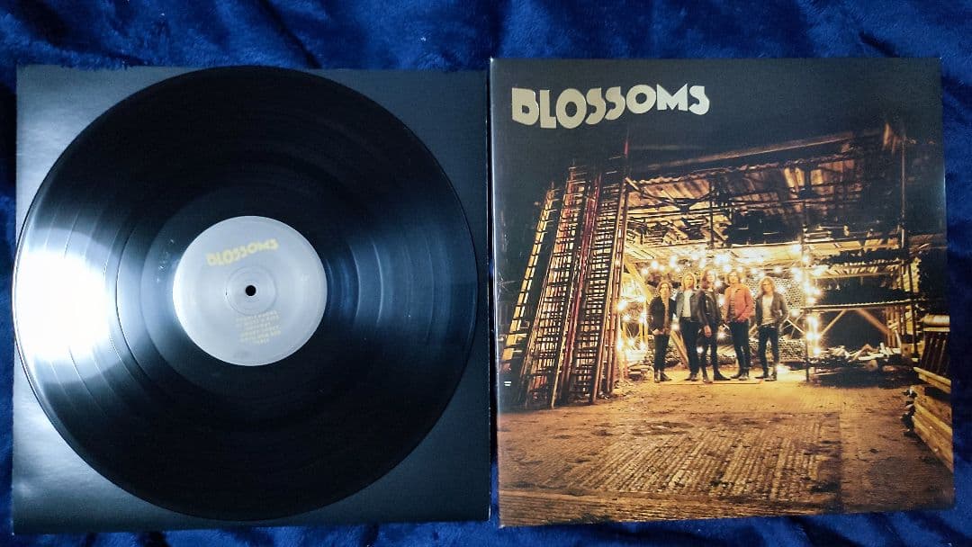 ブロッサムス　レコード　6枚セット　Blossoms
