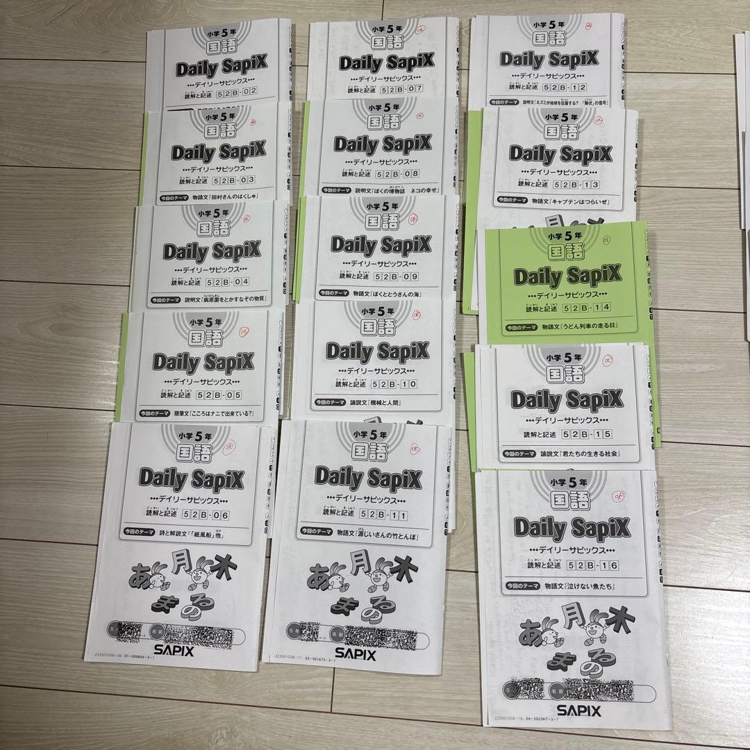 Sapix 五年　国語　フルセット
