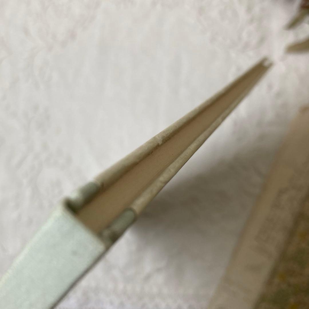 L863 洋書古書　北欧アンティーク　希少！オッティリア・アーデルボリの絵本