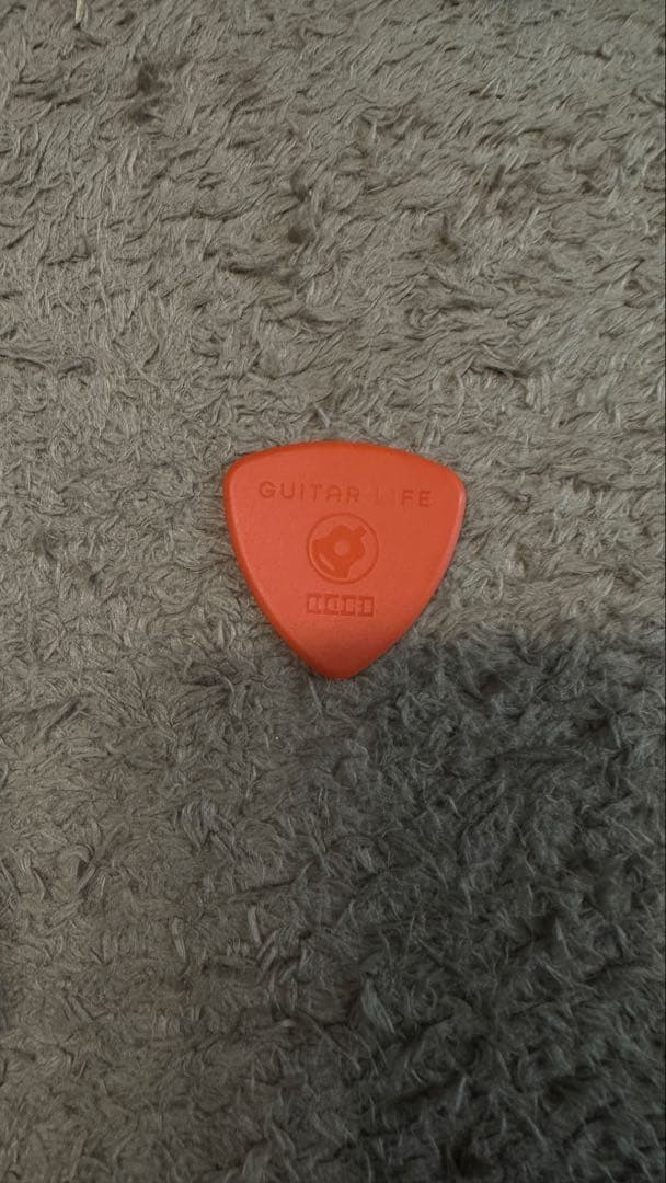 Hori GUITAR LIFE LESSON 1 ギターライフ 中古