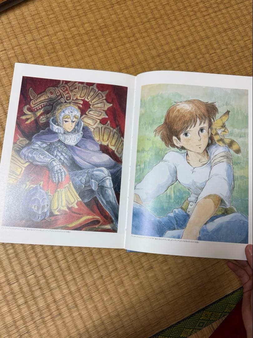 【豪華版】風の谷のナウシカ 上下巻2冊セット