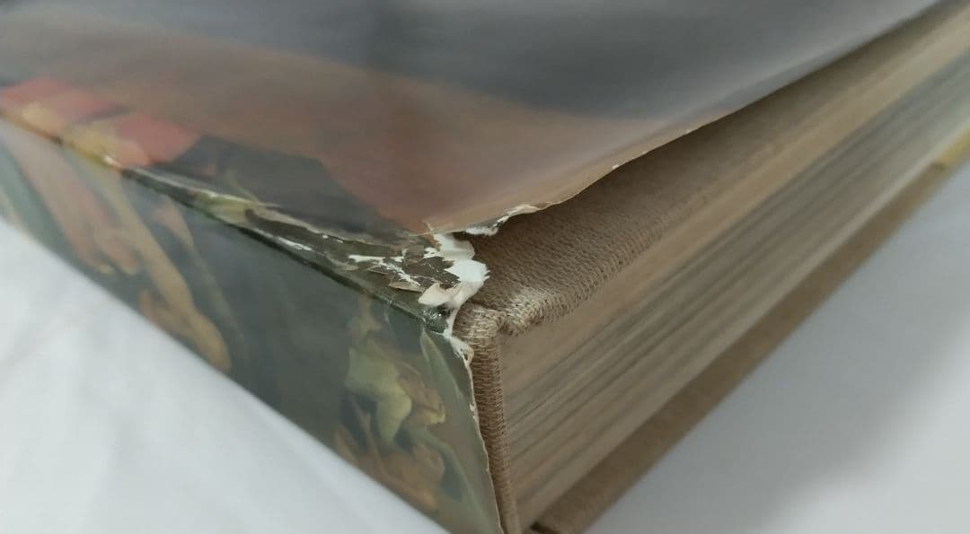 Hieronymus Bosch ヒエロニームス・ボッシュ (ボス) 洋書