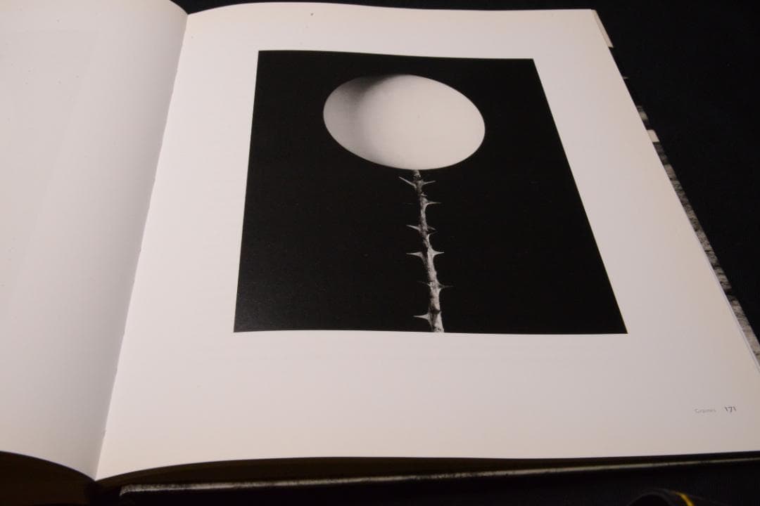 【Ikko Narahara 】奈良原一高写真集　初版　★★大幅に値下げしました